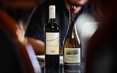 Viña Riveras del Chillán: Donde los Negocios y el Vino Crean Alianzas Extraordinarias